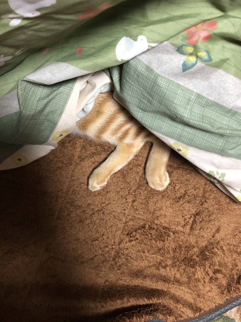 f:id:torachiii:20190109205304j:plain