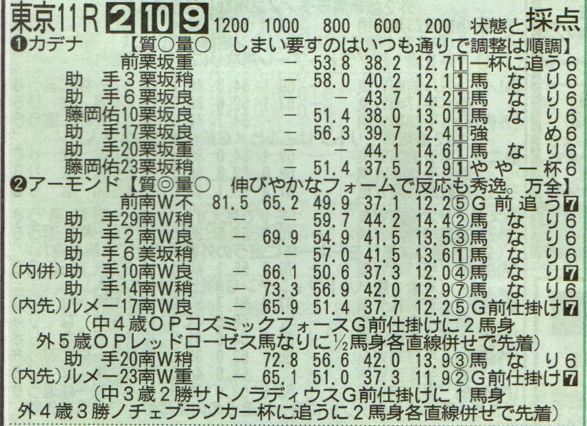 f:id:torachin13:20191028170951j:plain