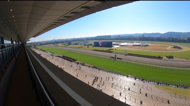 f:id:torachin13:20191117091409j:plain f:id:torachin13:20191117091409j:plain