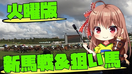 f:id:torachin13:20210104190507j:plain