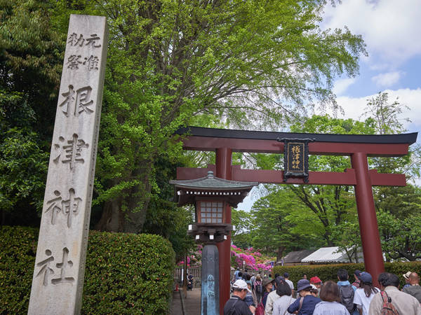 f:id:torago_tk:20190512004238j:plain