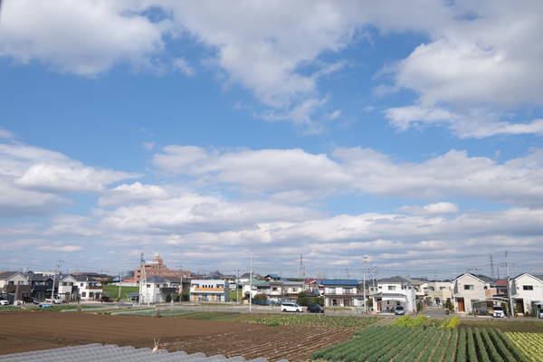 f:id:torago_tk:20200321231619j:plain