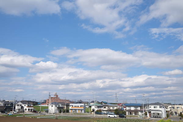 f:id:torago_tk:20200321231637j:plain