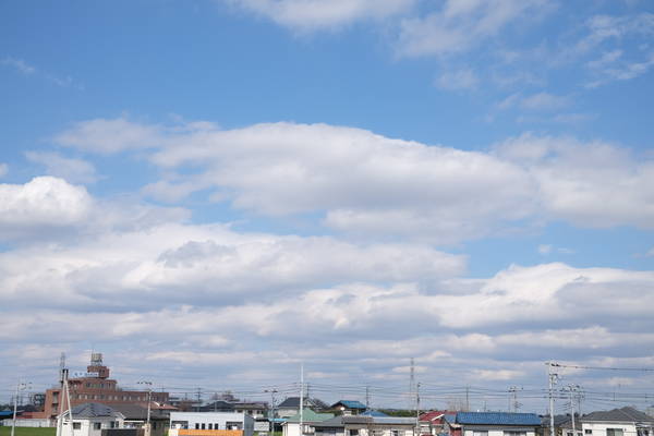 f:id:torago_tk:20200321231656j:plain