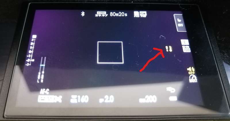 f:id:torago_tk:20200606220741j:plain