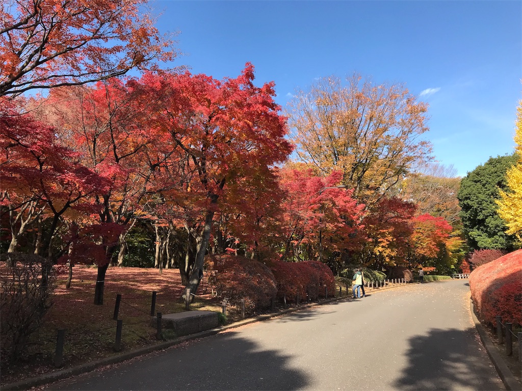 f:id:torakichi7:20171213204707j:image f:id:torakichi7:20171213204707j:image