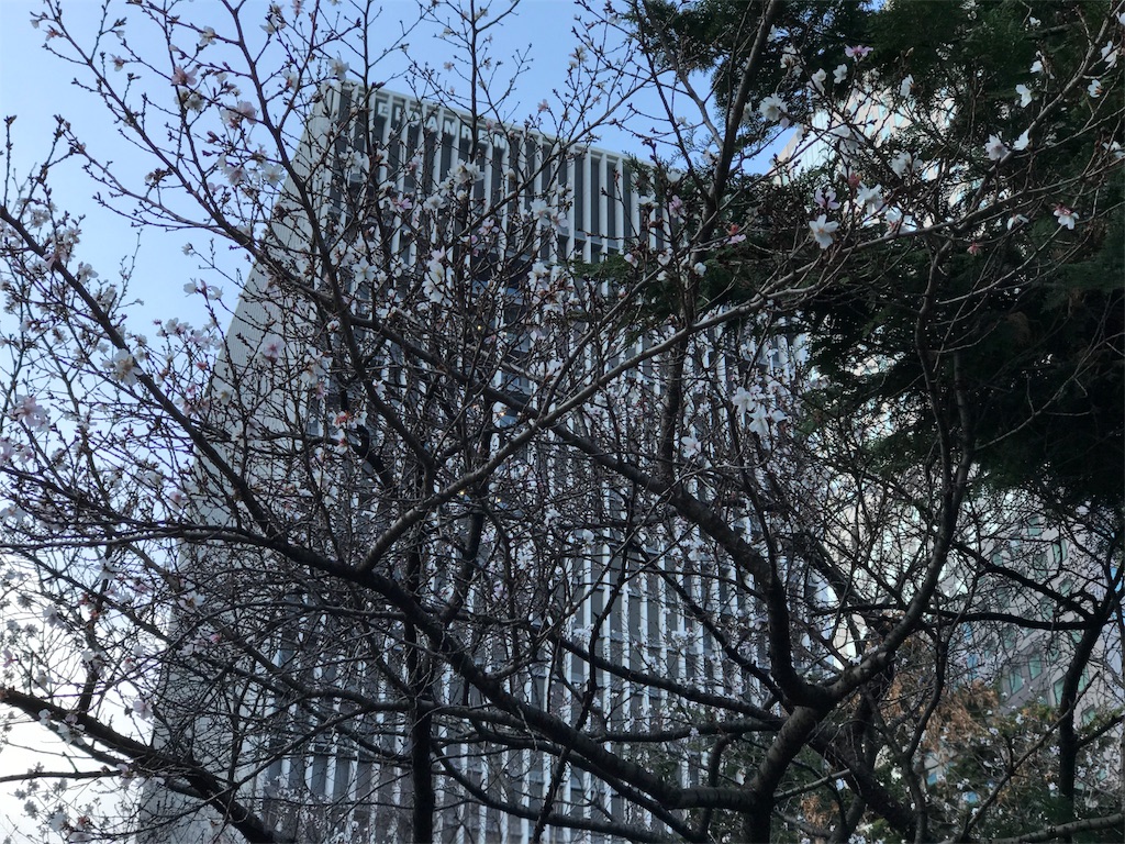f:id:torakichi7:20180205090535j:image f:id:torakichi7:20180205090535j:image