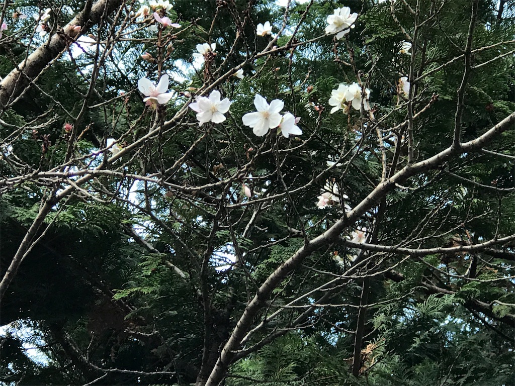 f:id:torakichi7:20180205090550j:image f:id:torakichi7:20180205090550j:image