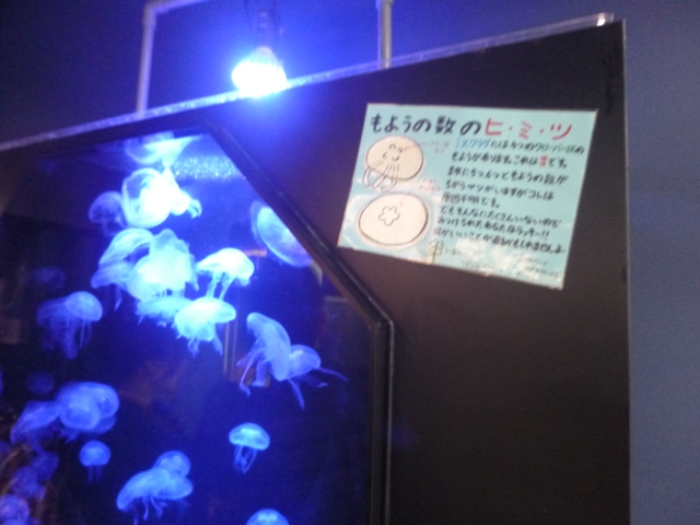 f:id:torakichi7:20180221151317j:plain f:id:torakichi7:20180221151317j:plain