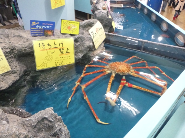 f:id:torakichi7:20180221152307j:plain f:id:torakichi7:20180221152307j:plain