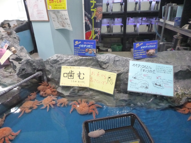 f:id:torakichi7:20180221152618j:plain f:id:torakichi7:20180221152618j:plain
