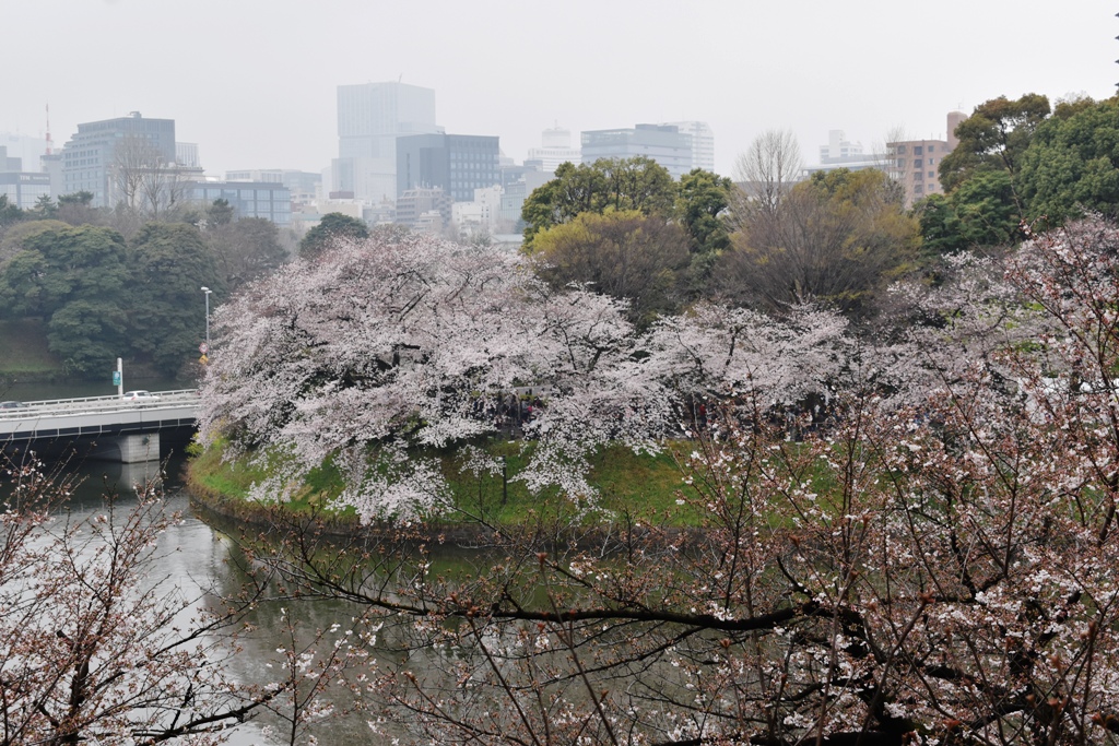 f:id:torakichi7:20190330090557j:plain