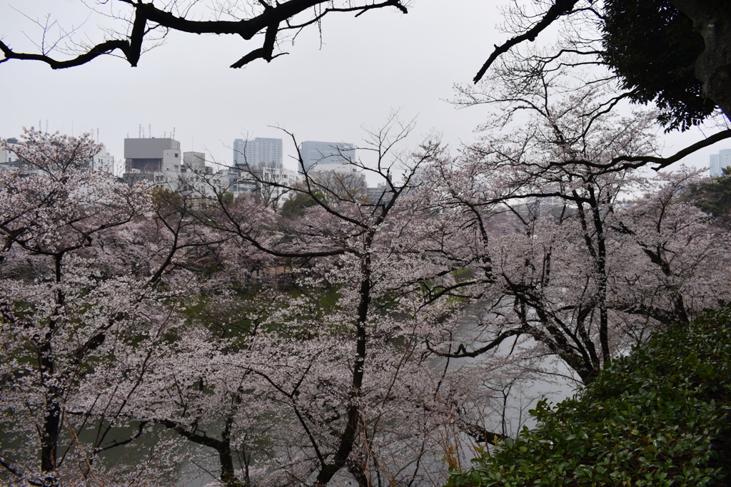 f:id:torakichi7:20190330090932j:plain