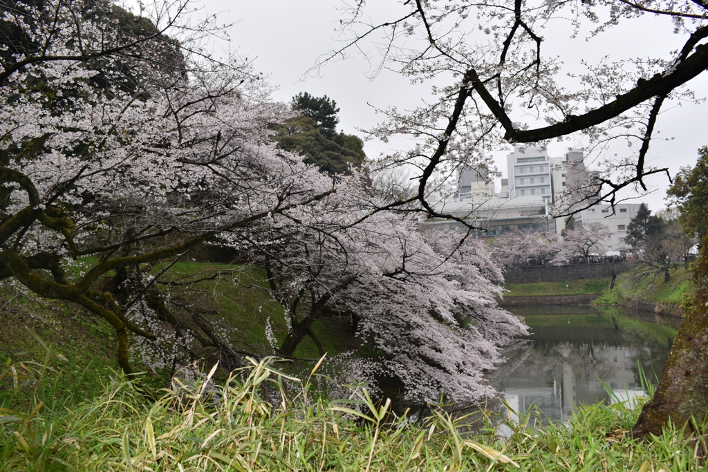 f:id:torakichi7:20190330091625j:plain