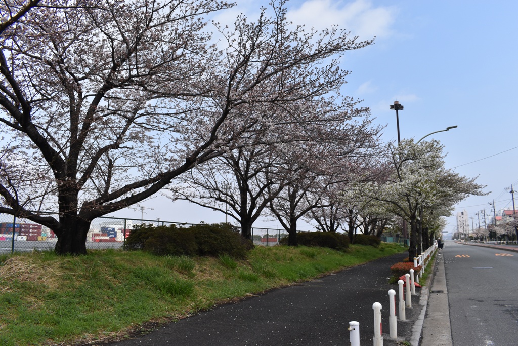 f:id:torakichi7:20190330103203j:plain