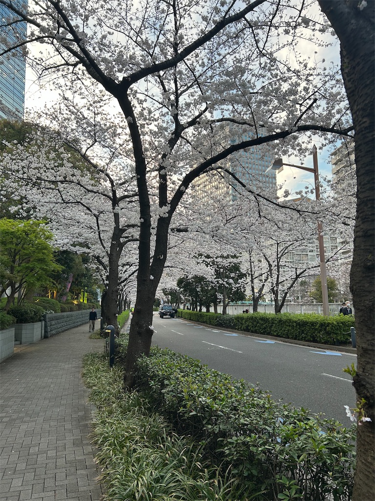 f:id:torakichi7:20250328200429j:image