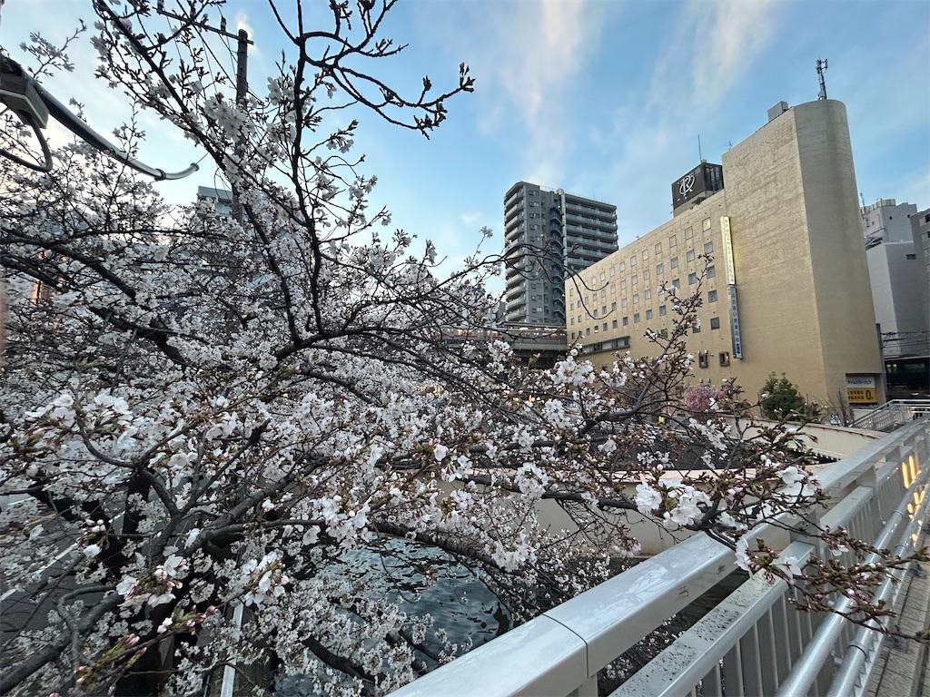 f:id:torakichi7:20250328200450j:image
