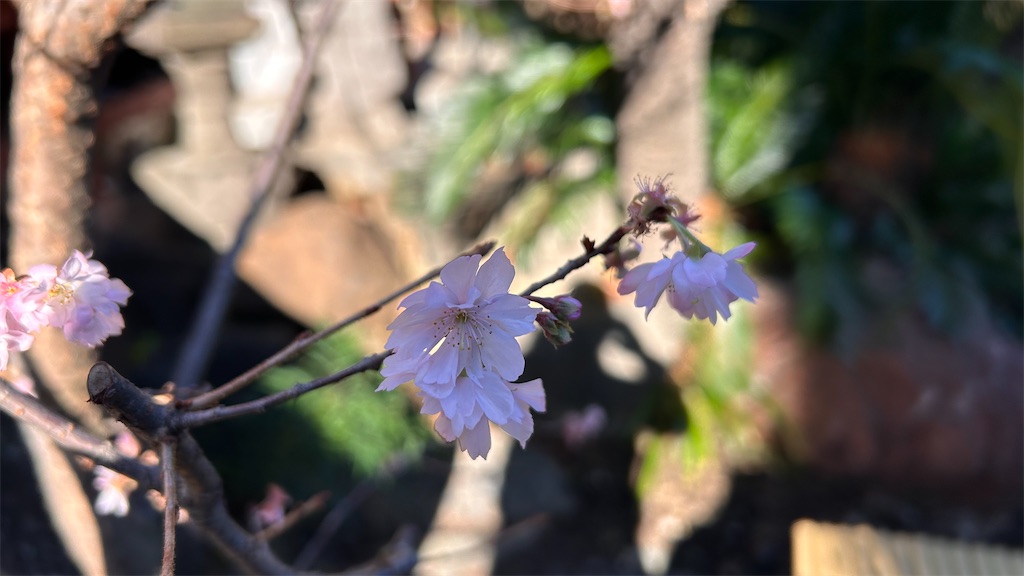 f:id:torakichi7:20251223151003j:image f:id:torakichi7:20251223151003j:image