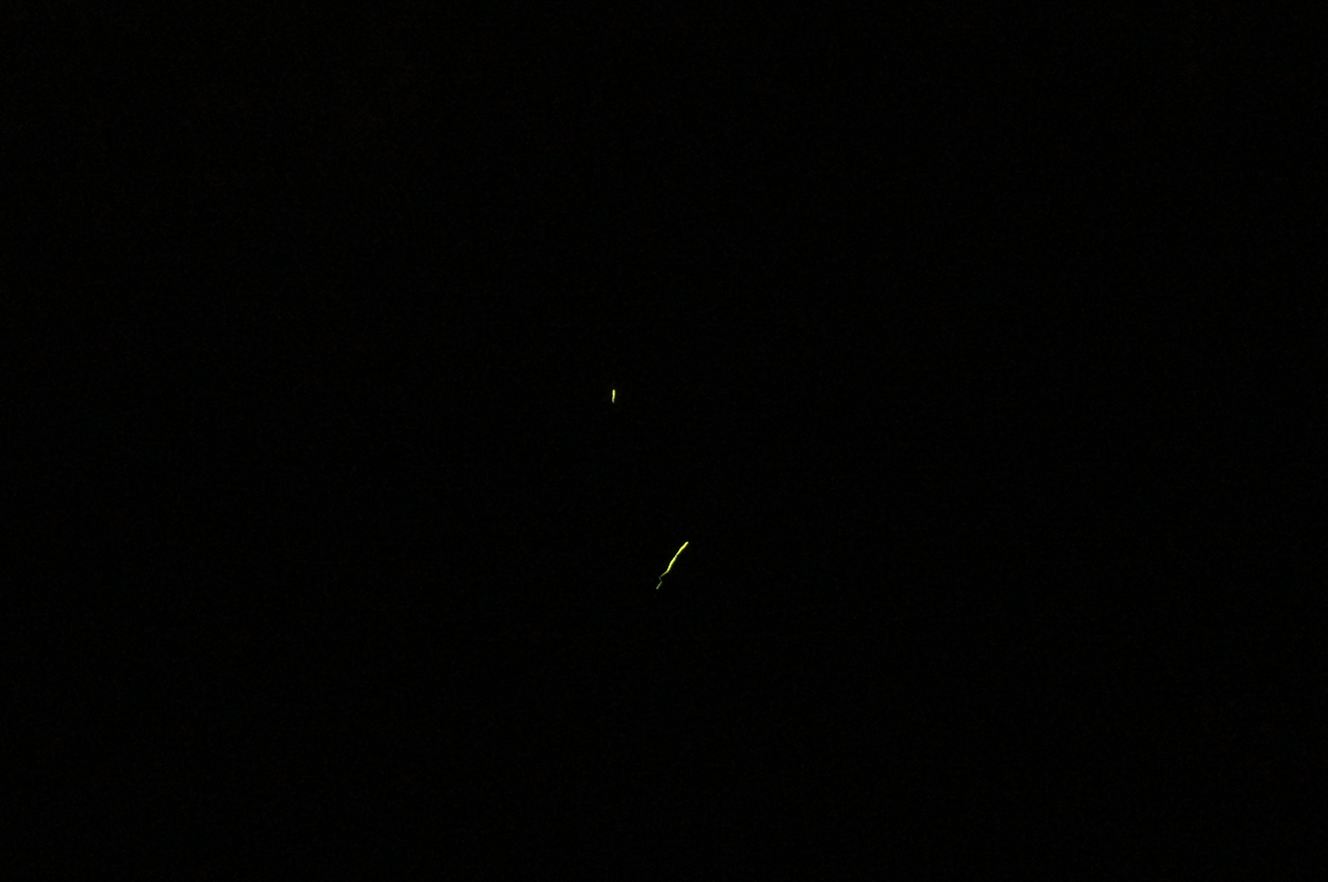 f:id:toraloc21:20190608212339j:plain