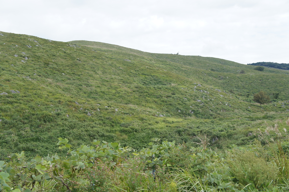 f:id:toraloc21:20190928140527j:plain f:id:toraloc21:20190928140527j:plain