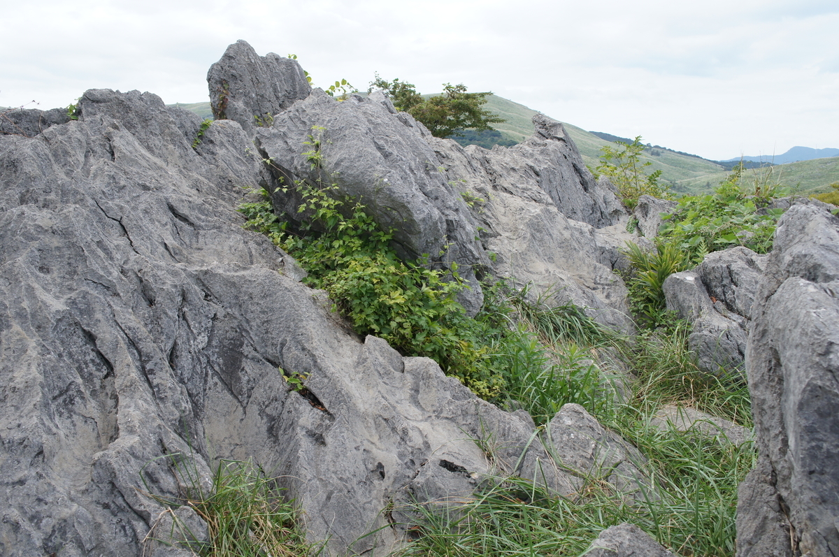 f:id:toraloc21:20190928142155j:plain f:id:toraloc21:20190928142155j:plain