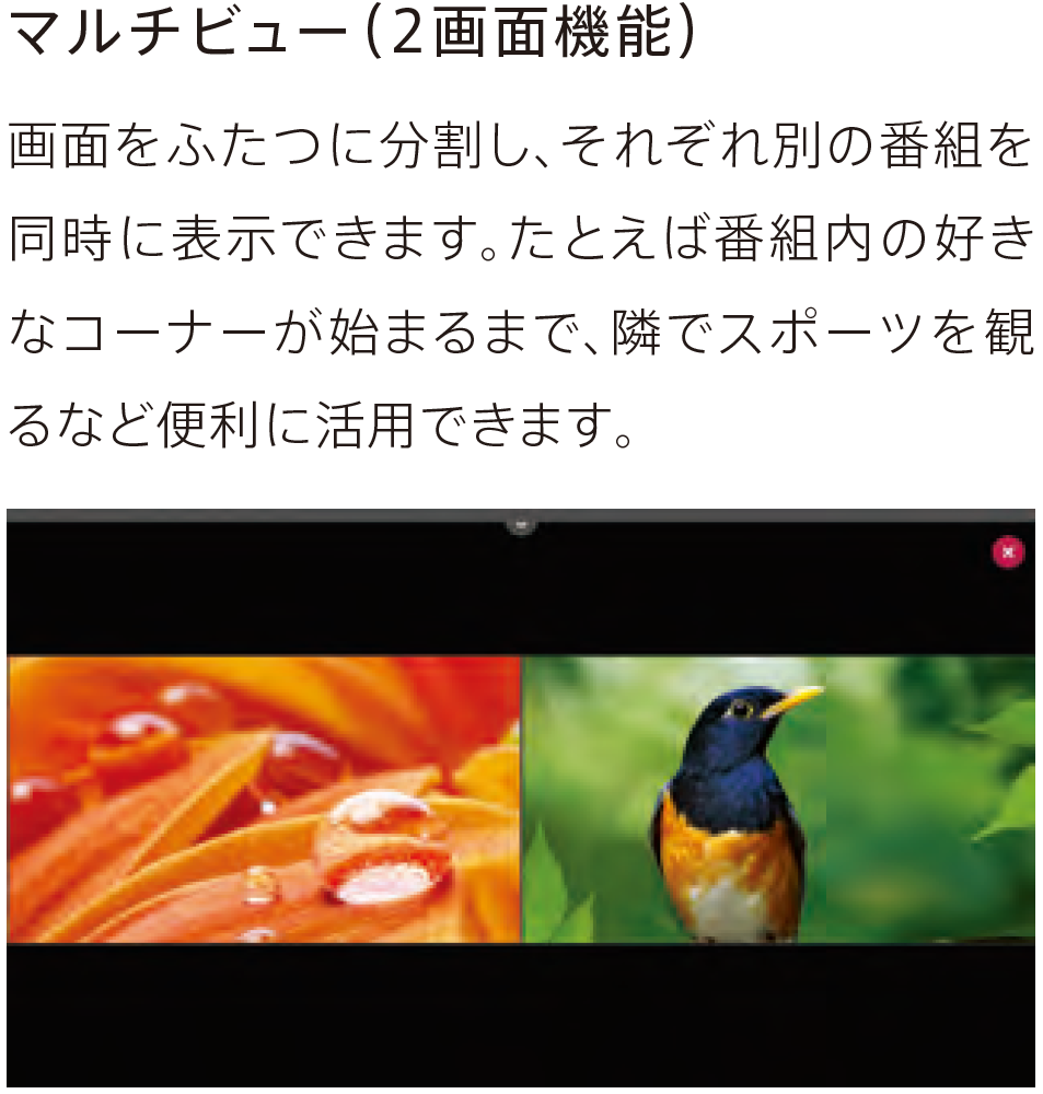 f:id:toranosuke_blog:20170128161127p:plain:w300 f:id:toranosuke_blog:20170128161127p:plain:w300