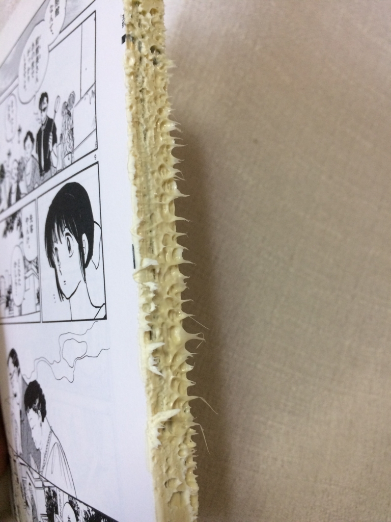 f:id:toranosuke_blog:20170706111540j:plain:w300 f:id:toranosuke_blog:20170706111540j:plain:w300