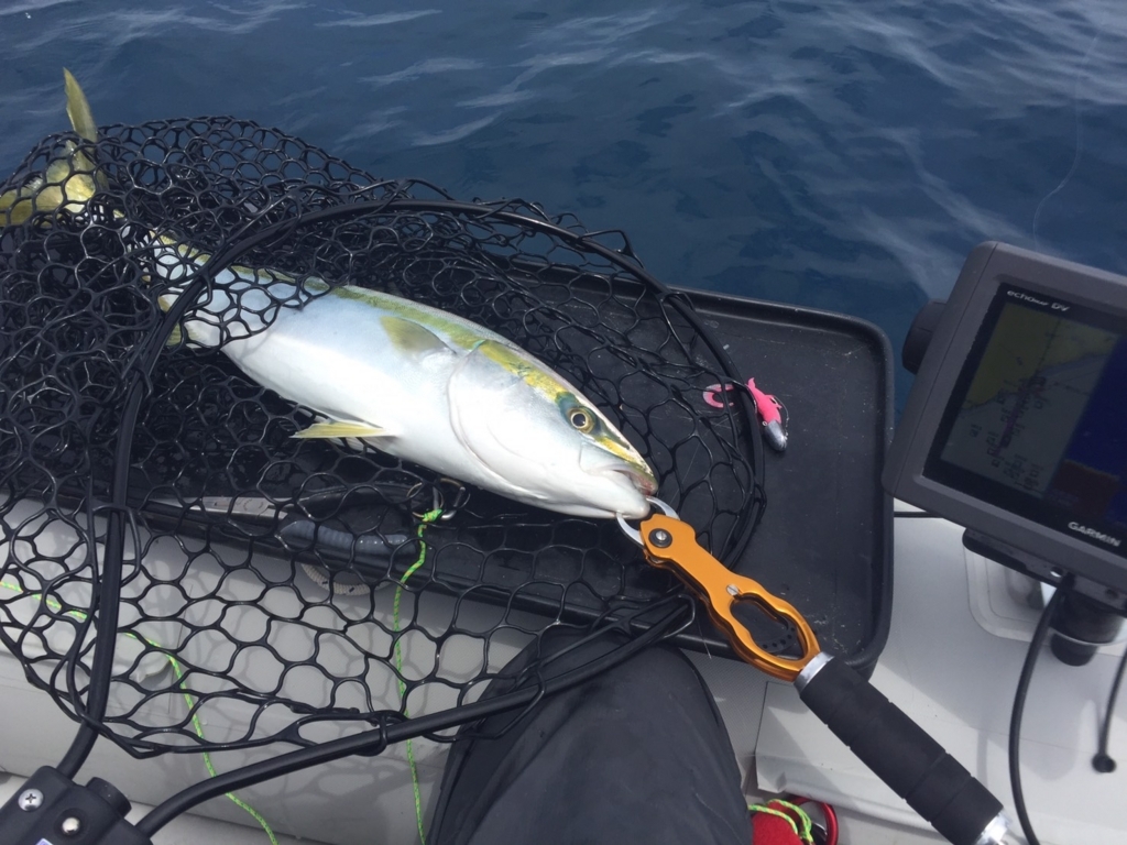 f:id:torappi_kayak2016:20170618180225j:plain f:id:torappi_kayak2016:20170618180225j:plain