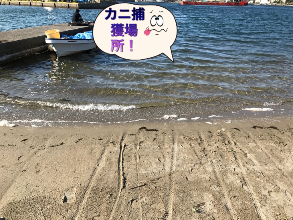 f:id:torappi_kayak2016:20170619100434j:plain f:id:torappi_kayak2016:20170619100434j:plain