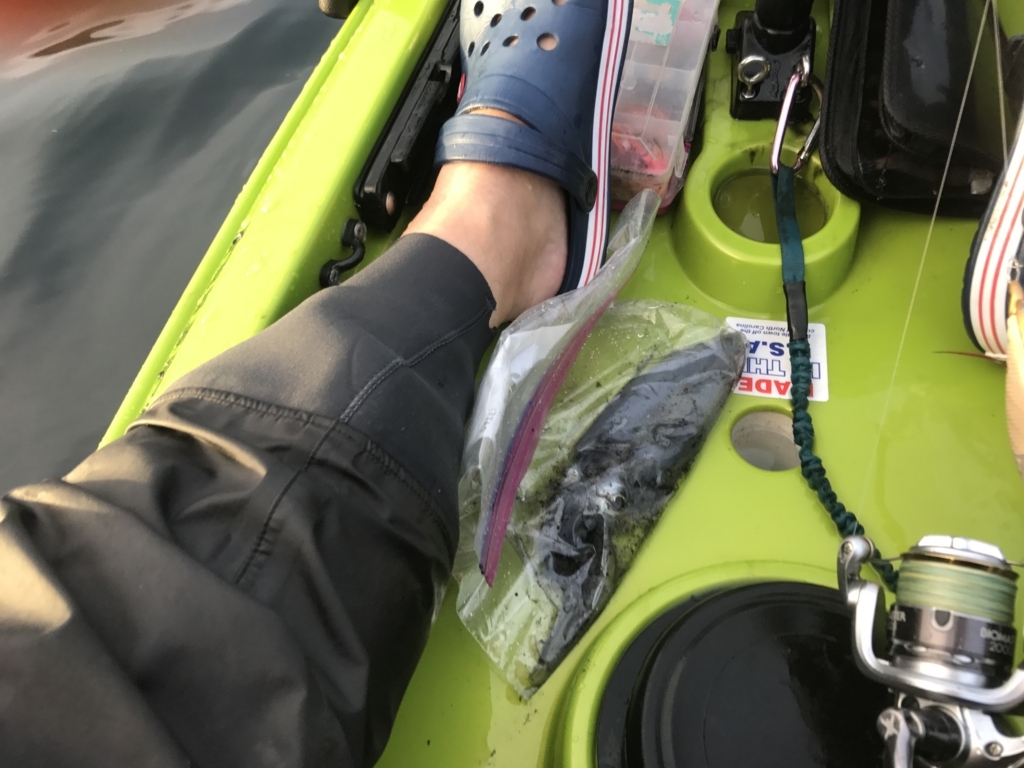 f:id:torappi_kayak2016:20170926081510j:plain f:id:torappi_kayak2016:20170926081510j:plain