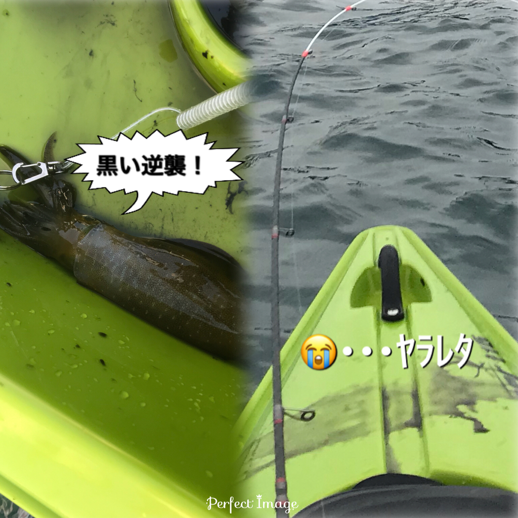 f:id:torappi_kayak2016:20180925142126j:plain f:id:torappi_kayak2016:20180925142126j:plain