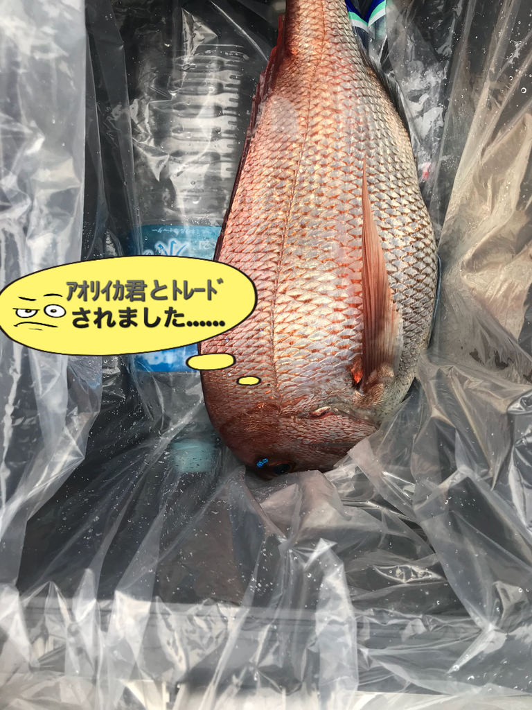 f:id:torappi_kayak2016:20180925144751j:plain f:id:torappi_kayak2016:20180925144751j:plain