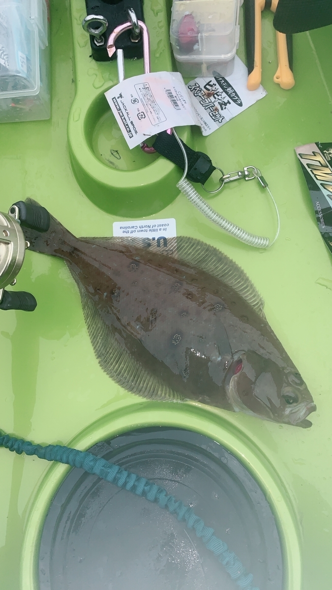 f:id:torappi_kayak2016:20190423081238j:plain f:id:torappi_kayak2016:20190423081238j:plain