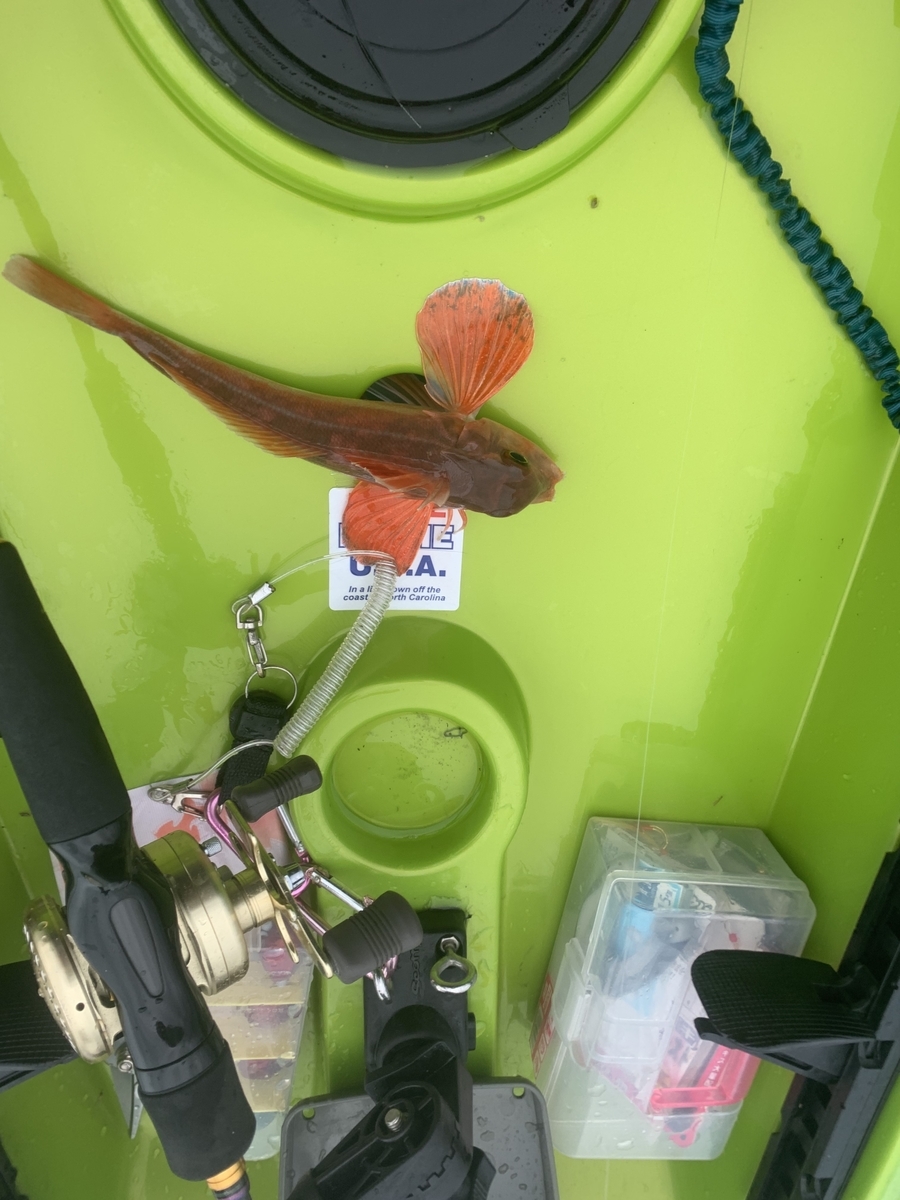 f:id:torappi_kayak2016:20190423081350j:plain f:id:torappi_kayak2016:20190423081350j:plain