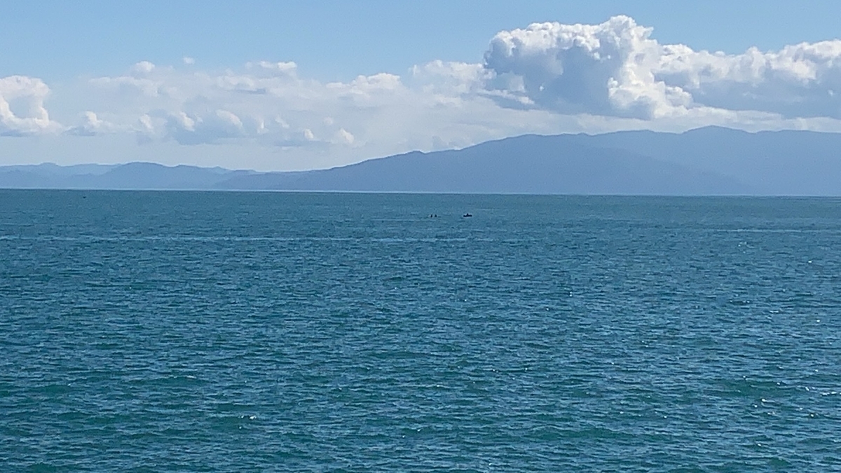 f:id:torappi_kayak2016:20201028211017j:plain f:id:torappi_kayak2016:20201028211017j:plain