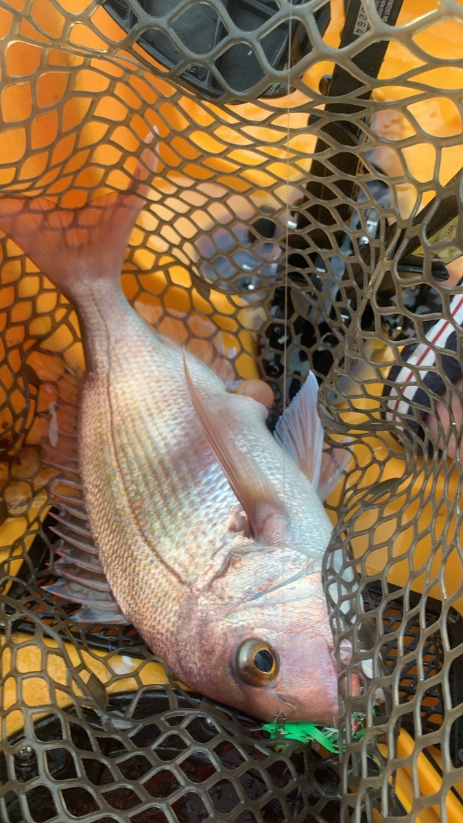 f:id:torappi_kayak2016:20201028213029j:plain f:id:torappi_kayak2016:20201028213029j:plain