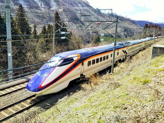 f:id:toratanuki:20210128133838j:plain