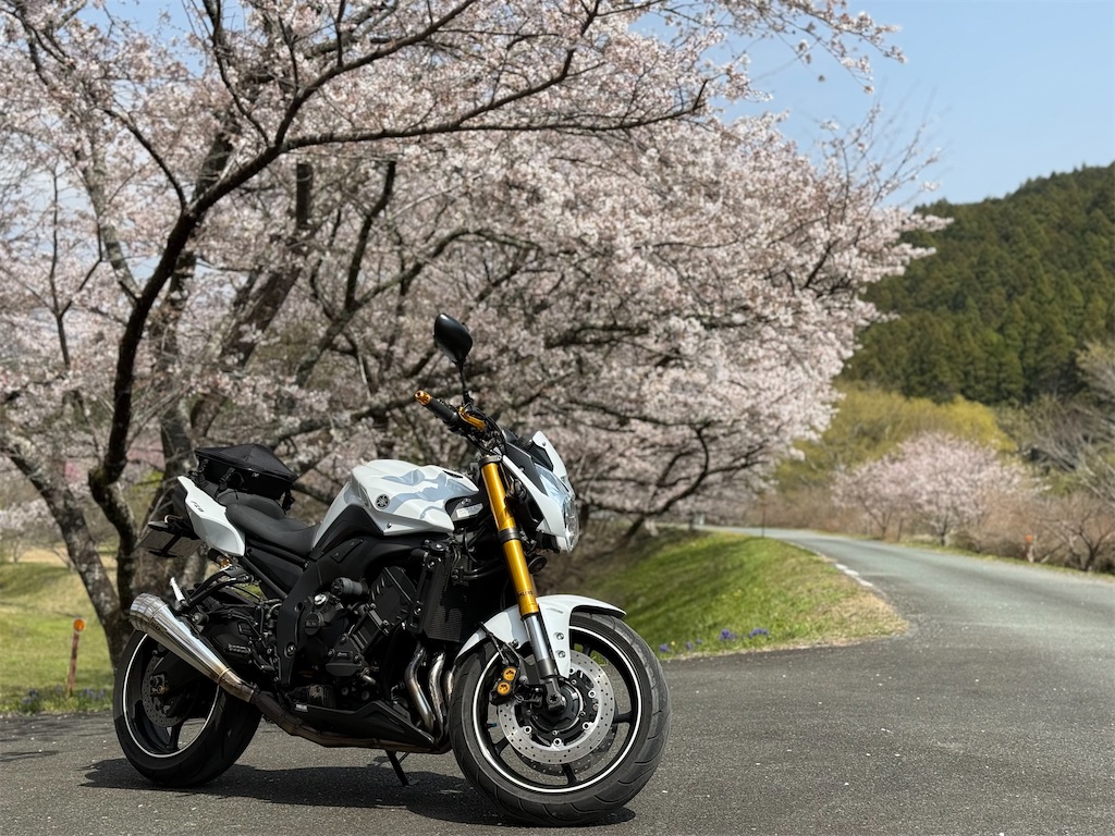 f:id:torataroublog:20260506092320j:image