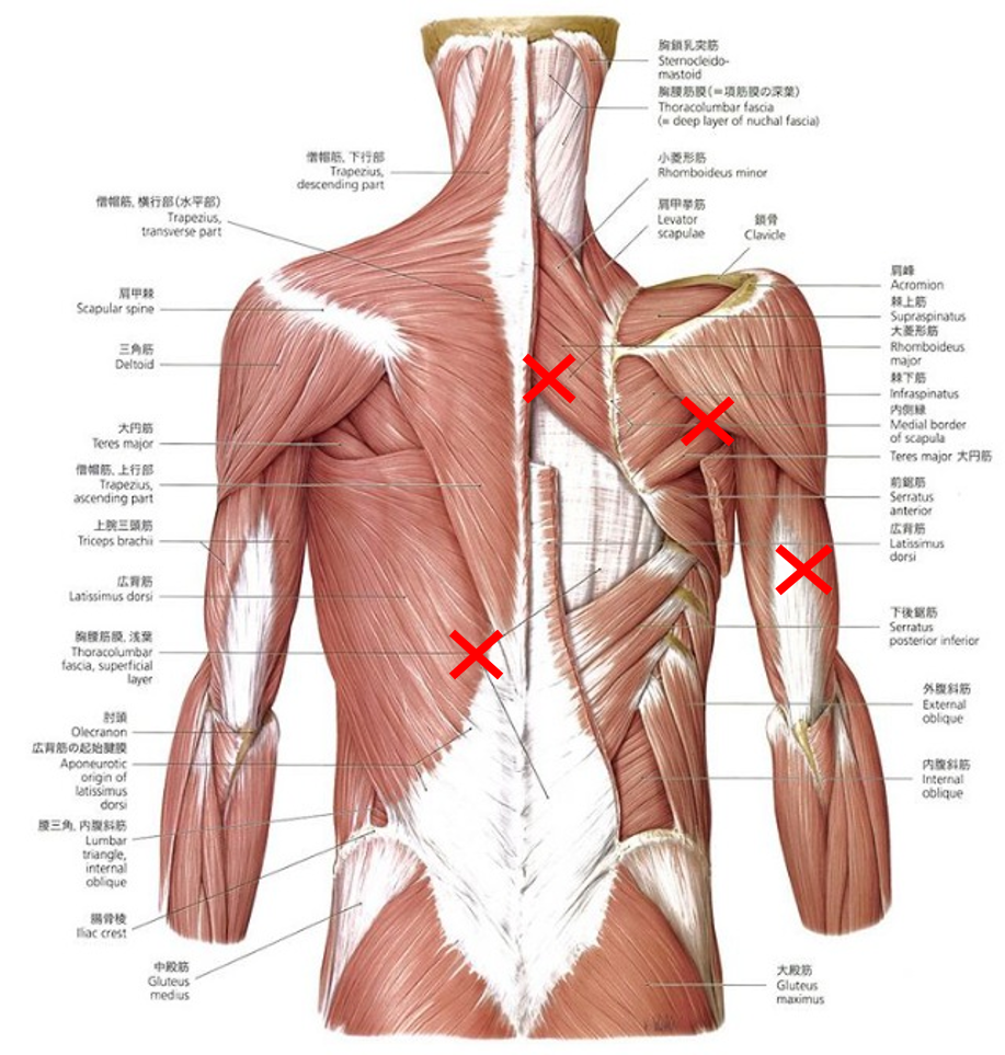 f:id:toratezza0316:20170119051958p:plain f:id:toratezza0316:20170119051958p:plain