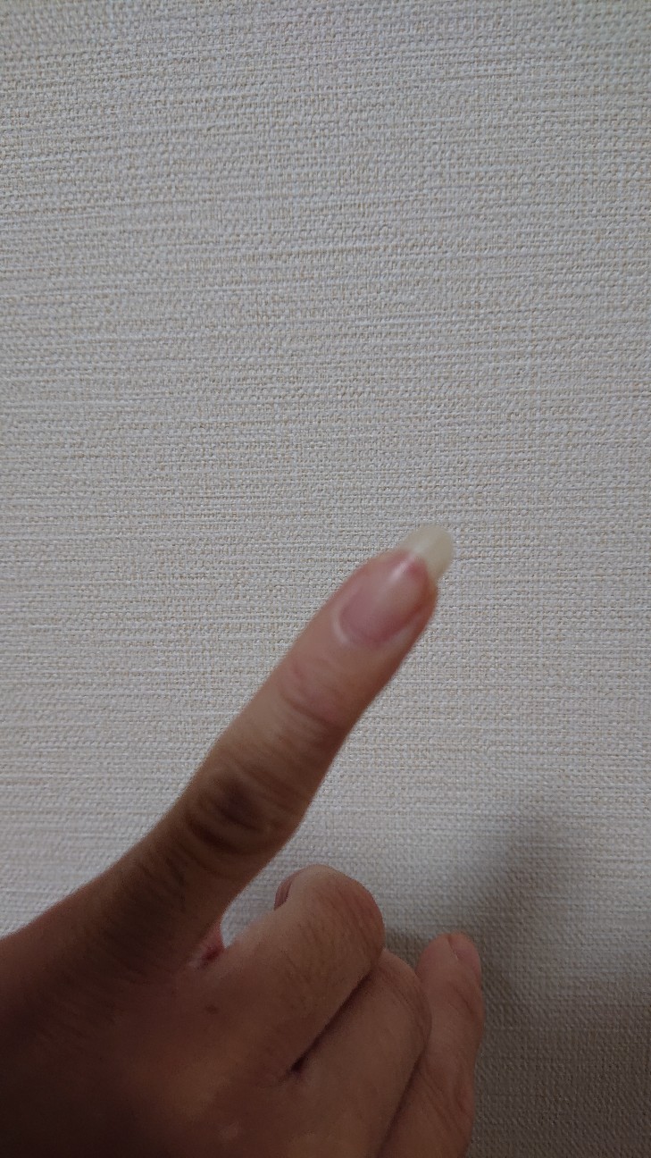 f:id:toratola:20191023025133j:plain