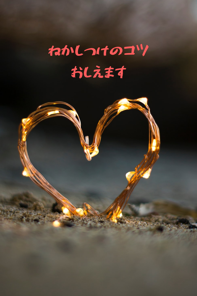 f:id:toratola:20200316224156p:plain