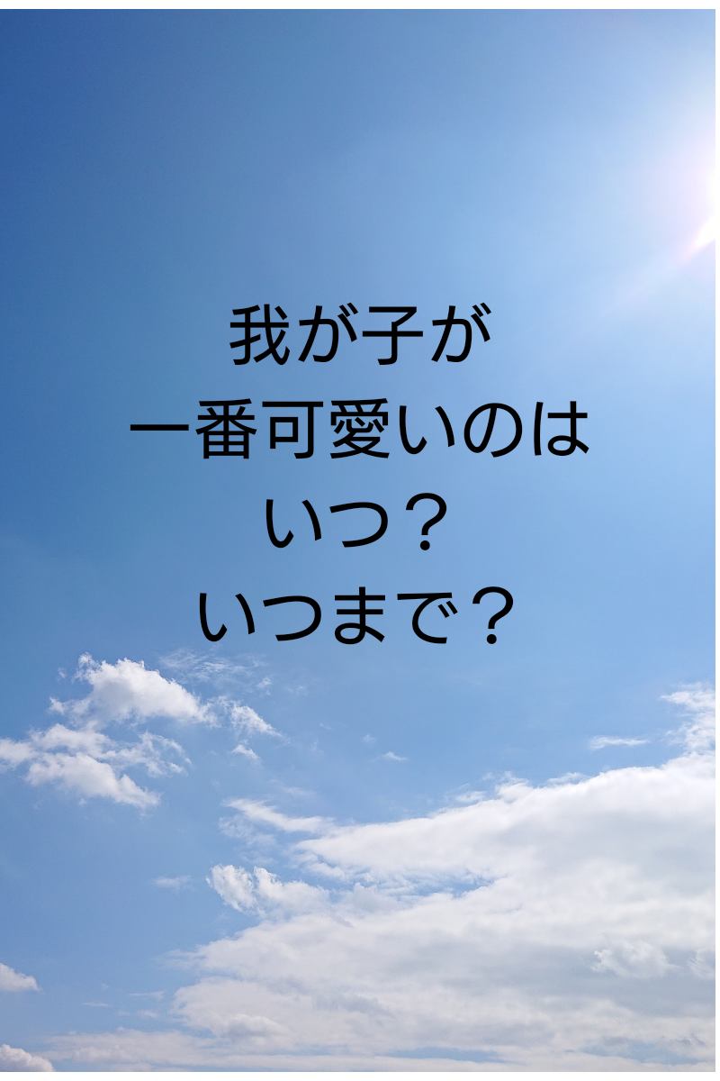 f:id:toratola:20200325125126p:plain