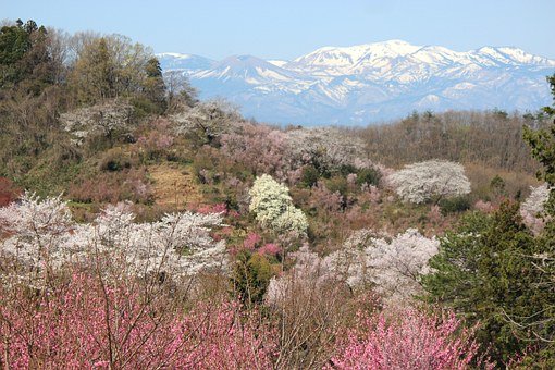 f:id:toratoramaru:20201014112822j:plain