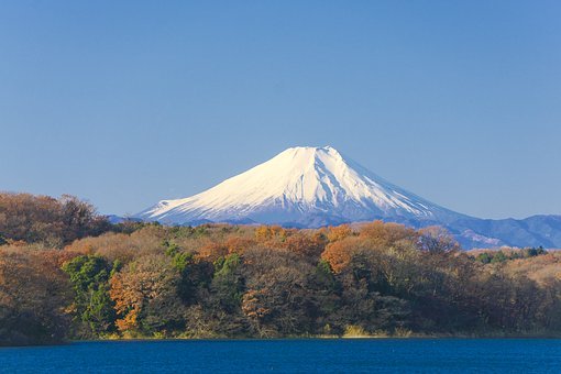 f:id:toratoramaru:20201020175417j:plain