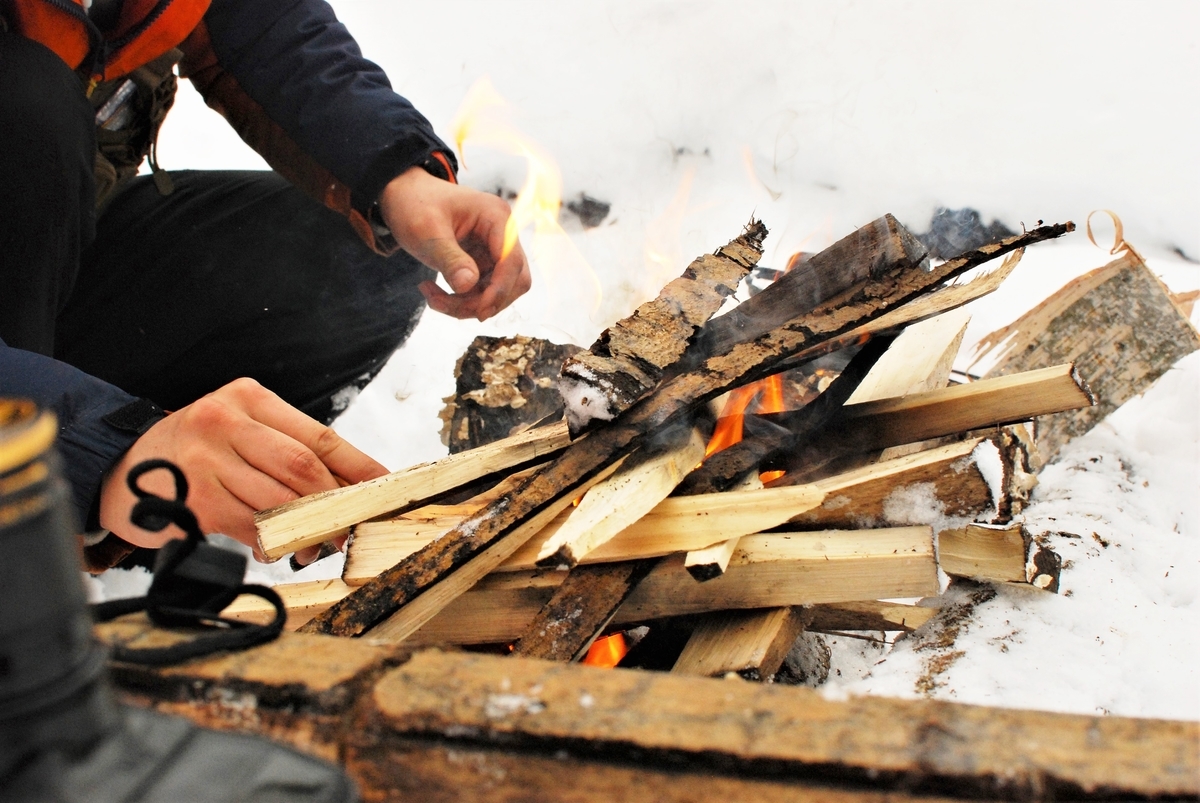 f:id:torawriter:20200201143138j:plain f:id:torawriter:20200201143138j:plain