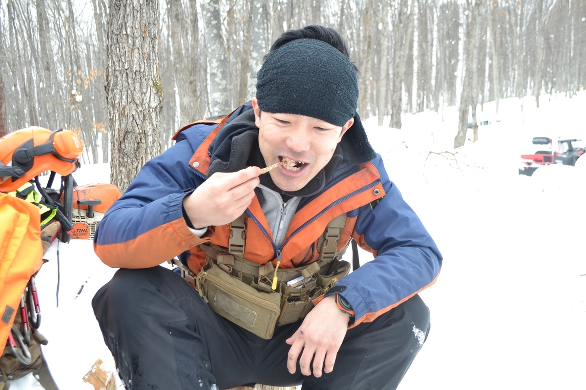 f:id:torawriter:20200201152056j:plain f:id:torawriter:20200201152056j:plain