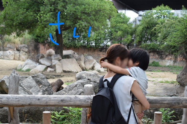 f:id:torch2:20190718005222j:image