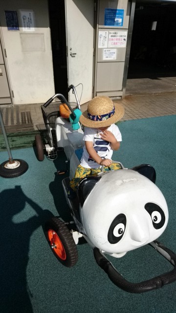 f:id:torch2:20191001012334j:image