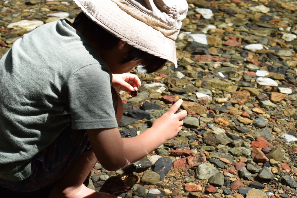 f:id:torch2:20200827232727j:image