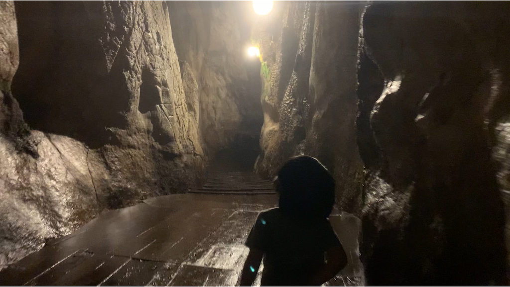 f:id:torch2:20200829153523p:image